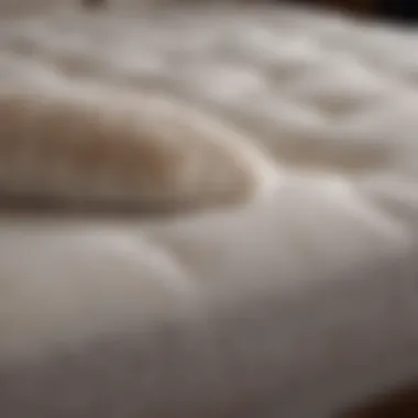 Luxurious Plush Mattress Topper Luxurious plush mattress topper enhancing sleep quality