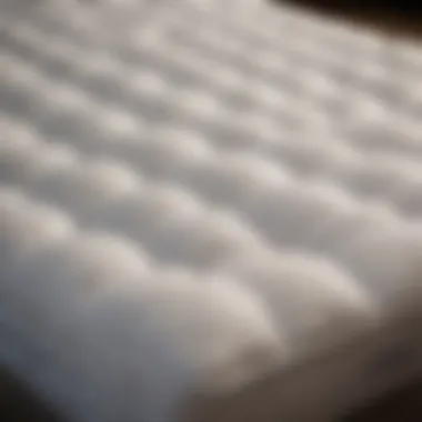 Variety of Plush Mattress Toppers Various plush mattress topper options arranged aesthetically