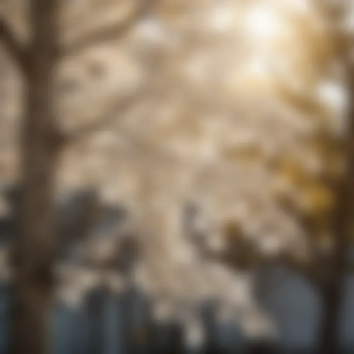 Close-up view of a tree with white leaves in sunlight