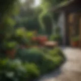 A lush terrace garden showcasing diverse plant species