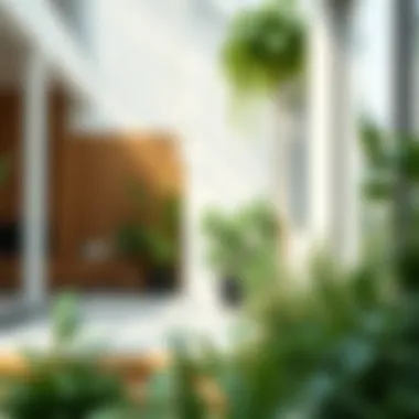 The Green Outside Plant: Cultivating a Vibrant Exterior Summary The Green Outside Plant: Cultivating a Vibrant Exterior Summary