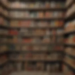 Organized pantry showcasing neatly arranged canned goods.