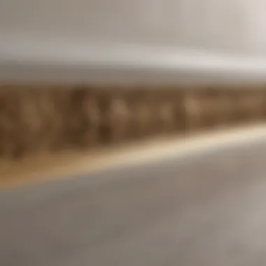 Intricate Baseboard Detailing Close-up of intricate baseboard design details