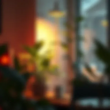 Notable The Optimal Heating Solutions for Indoor Plants During Winter Notable The Optimal Heating Solutions for Indoor Plants During Winter