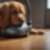 Powerful vacuum designed for pet hair removal