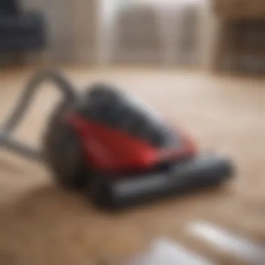 User-Friendly Features in Pet Vacuums User-friendly features of a pet vacuum