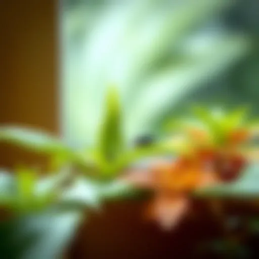 Tiny Bugs on Plants: Understanding, Identifying, and Managing Infestations Introduction