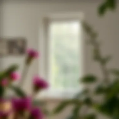 Notable Top Sash Window Replacement: A Comprehensive Guide