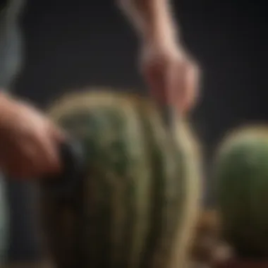 A gardener carefully trimming a cactus