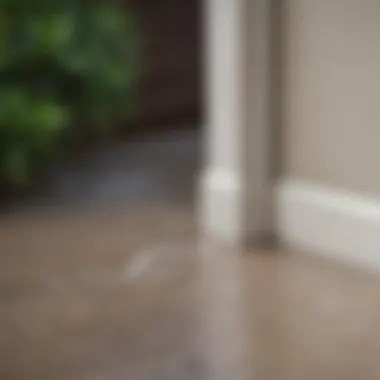 Results of Effective Caulk Removal Before and after caulk removal project