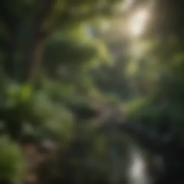 A tranquil garden featuring various shade water plants