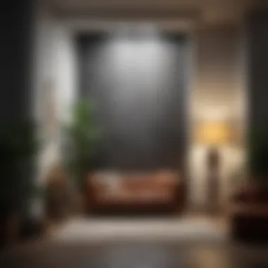 Installation Guide for Statement Decor A guide illustrating the installation of statement wall decor in a stylish interior.