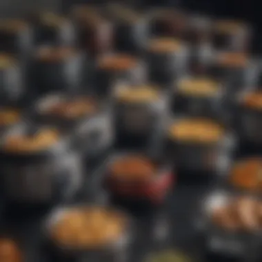 Diverse Designs of Large Slow Cookers A variety of large slow cookers with distinct designs