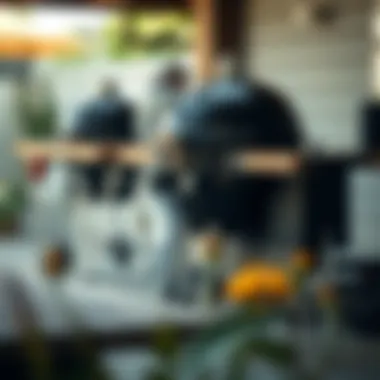 Understanding Traeger Gas and Charcoal Grills: A Comprehensive Guide Summary Understanding Traeger Gas and Charcoal Grills: A Comprehensive Guide Summary
